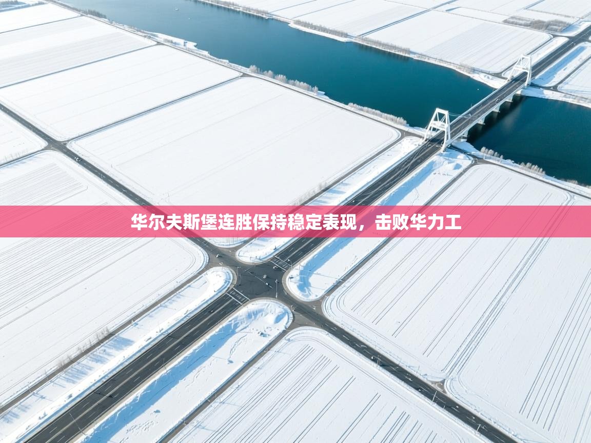 华尔夫斯堡连胜保持稳定表现,击败华力工 第2张