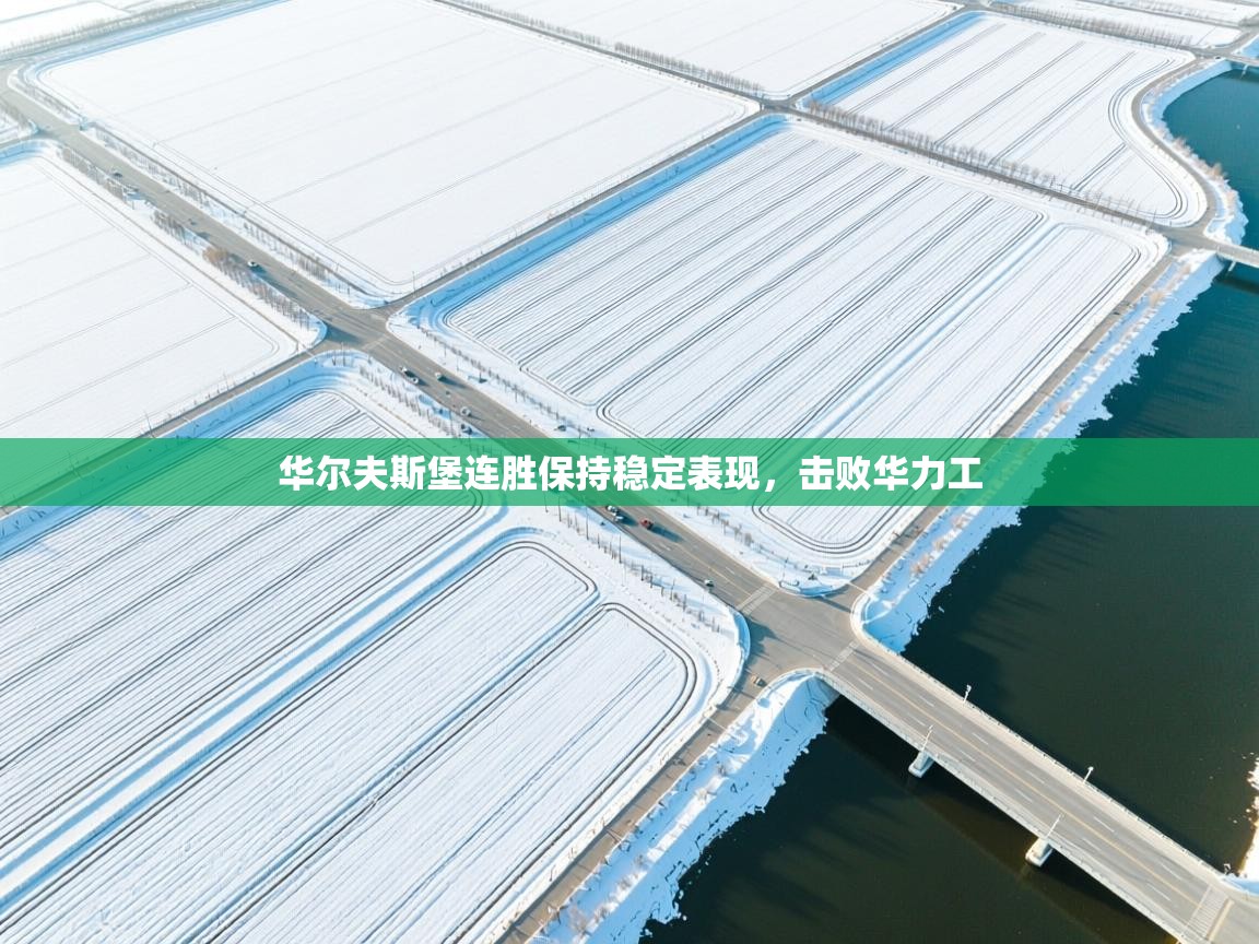 华尔夫斯堡连胜保持稳定表现,击败华力工 第1张