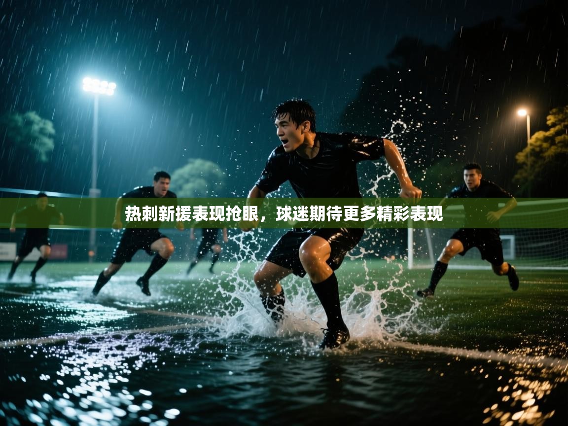 热刺新援表现抢眼，球迷期待更多精彩表现  第2张