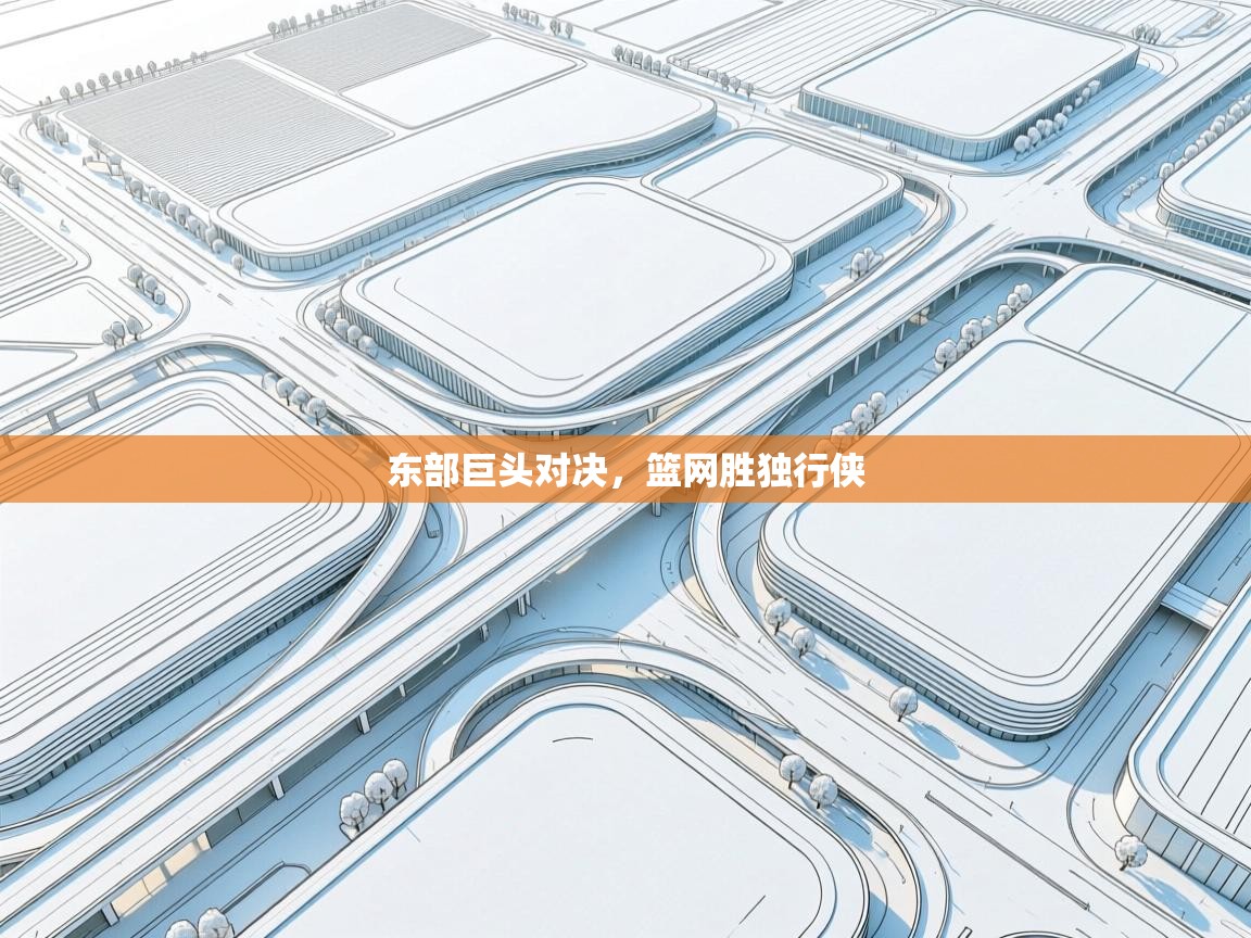 东部巨头对决，篮网胜独行侠  第1张