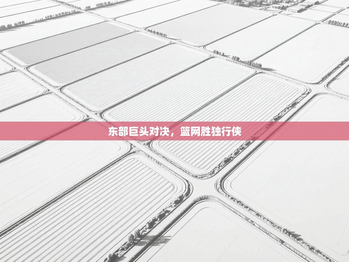 东部巨头对决，篮网胜独行侠  第2张