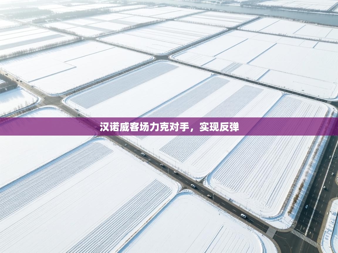 汉诺威客场力克对手,实现反弹 第1张