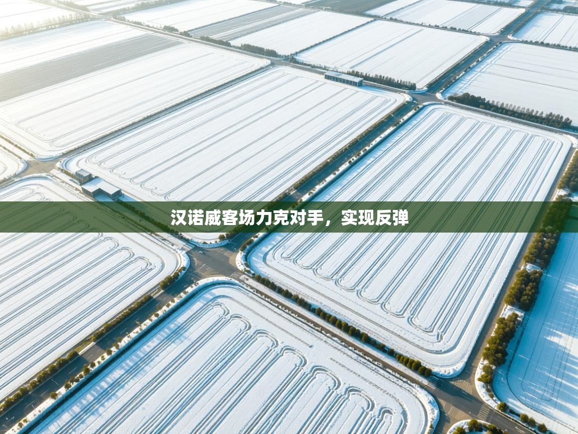 汉诺威客场力克对手,实现反弹 第2张