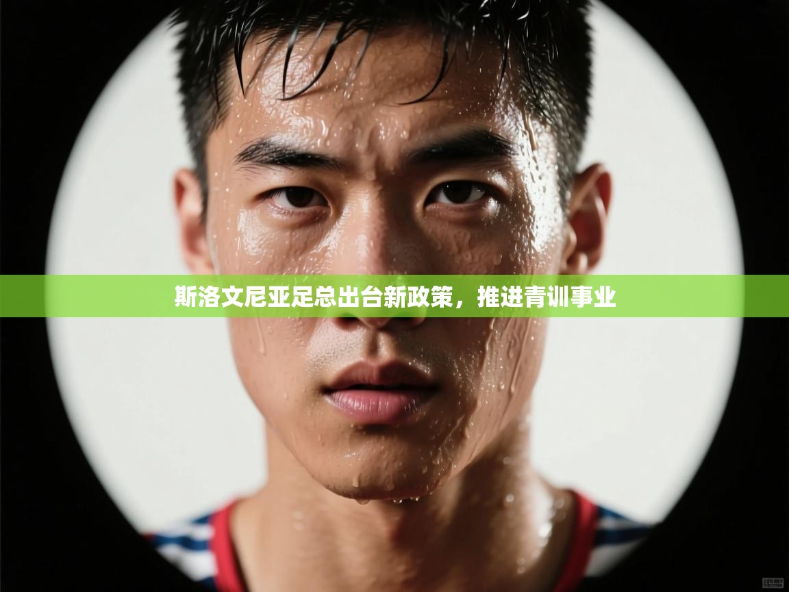 斯洛文尼亚足总出台新政策，推进青训事业  第2张