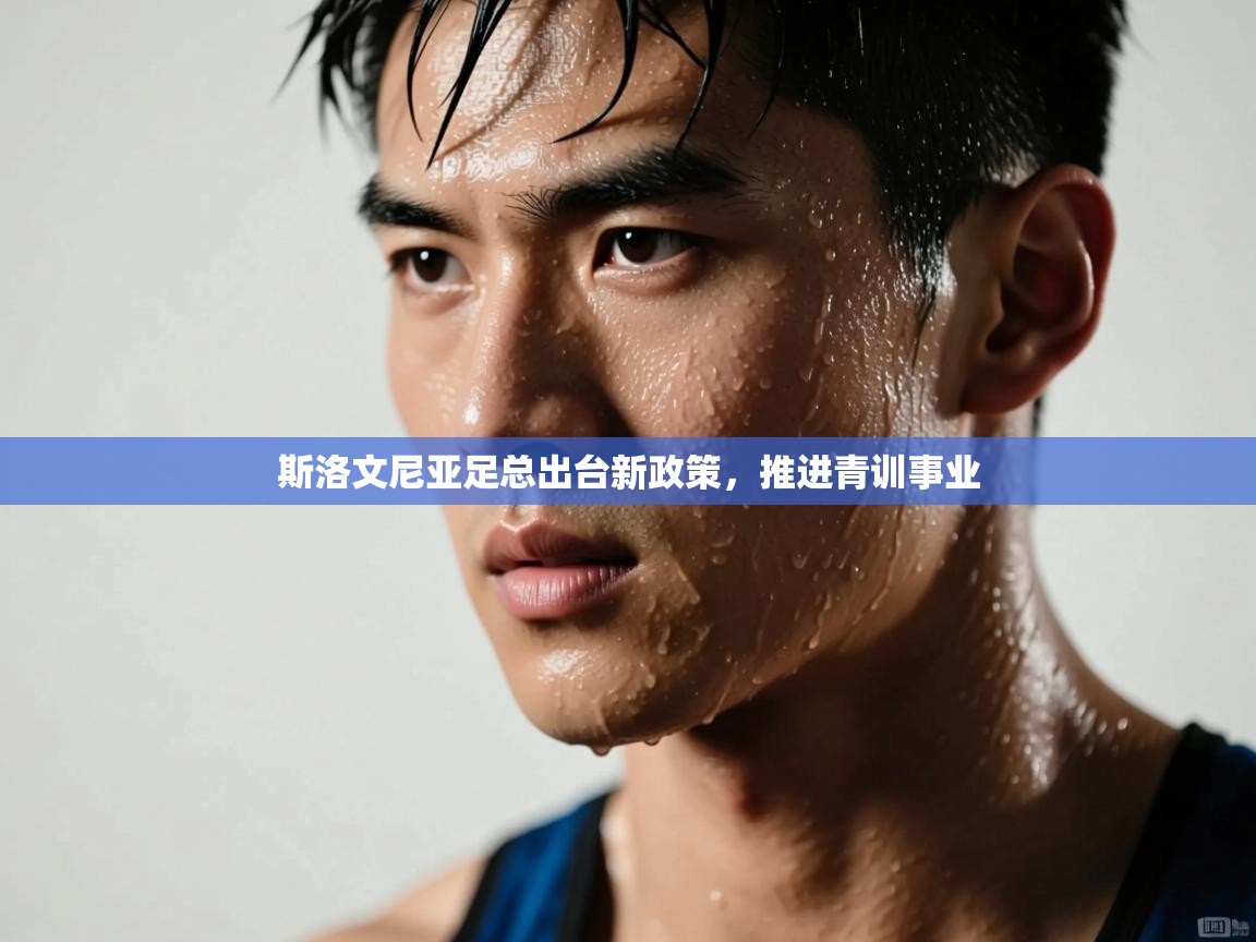 斯洛文尼亚足总出台新政策，推进青训事业  第1张