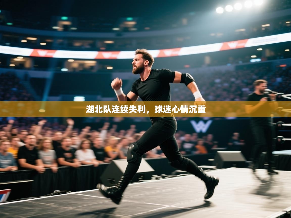 湖北队连续失利，球迷心情沉重  第1张