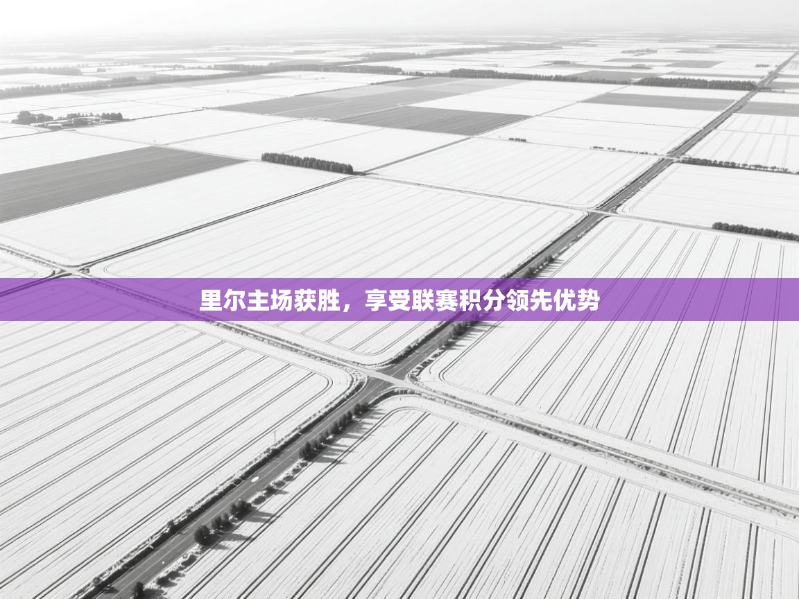 里尔主场获胜，享受联赛积分领先优势