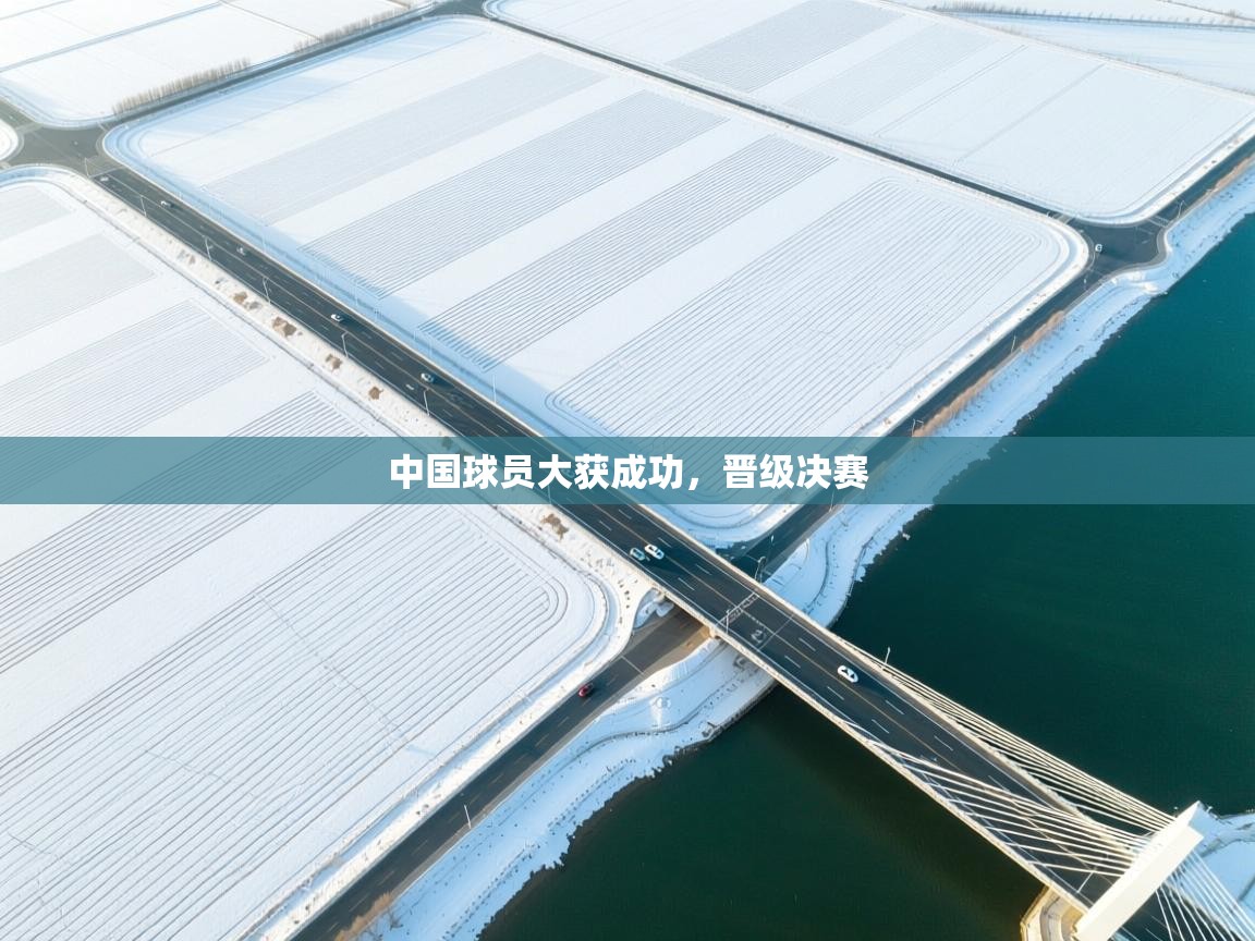 中国球员大获成功,晋级决赛 第1张