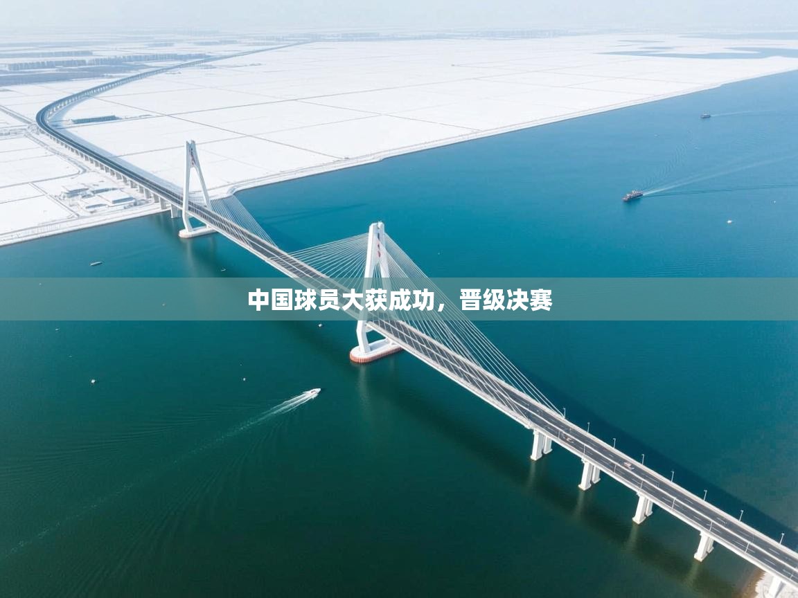 中国球员大获成功,晋级决赛 第2张