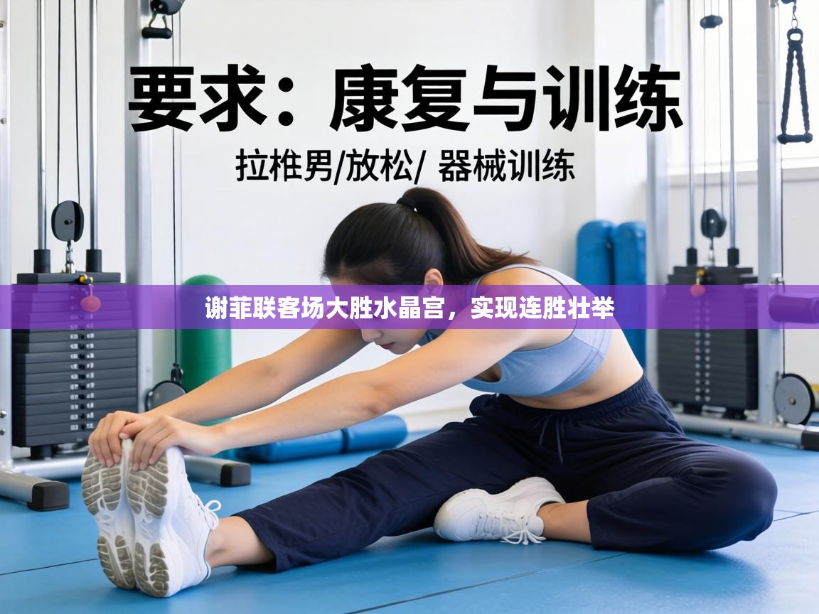 谢菲联客场大胜水晶宫，实现连胜壮举